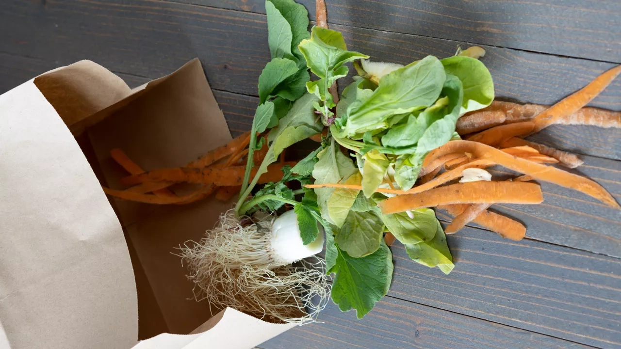 Compost bag with vegetable scraps